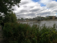 Hammersmith Bridge Wetlands and Thames pic Doug Hudgell