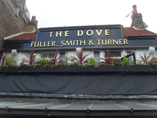 6-The-Dove-109